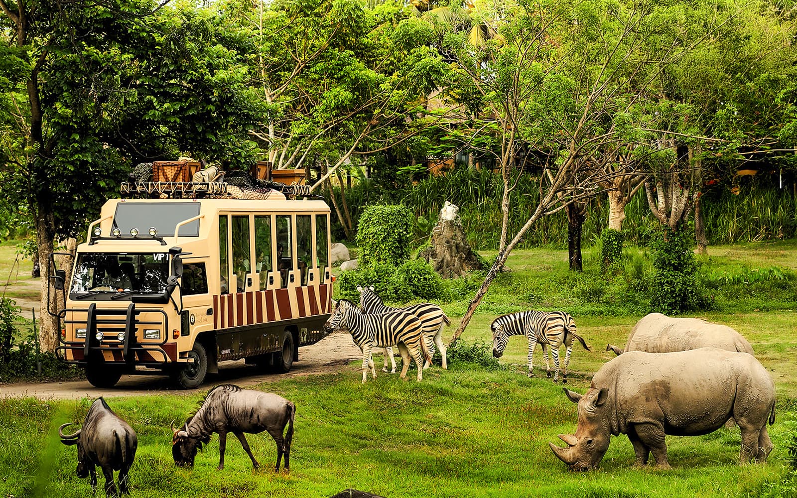Bali Safari Tickets