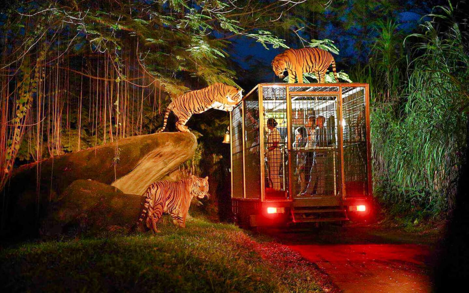 3d852533-3ebf-4884-ab35-aac87441a393-12175-bali-night-safari-tickets--bali-safari-and-marine-park--01.jpg