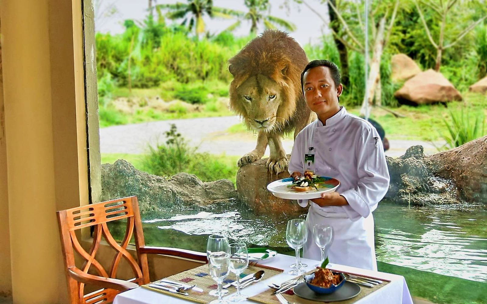 e18dba4c-fb87-40e2-b5d3-4c9fe47c0adf-12256-bali-breakfast-with-lions--bali-safari-and-marine-park--03.jpg