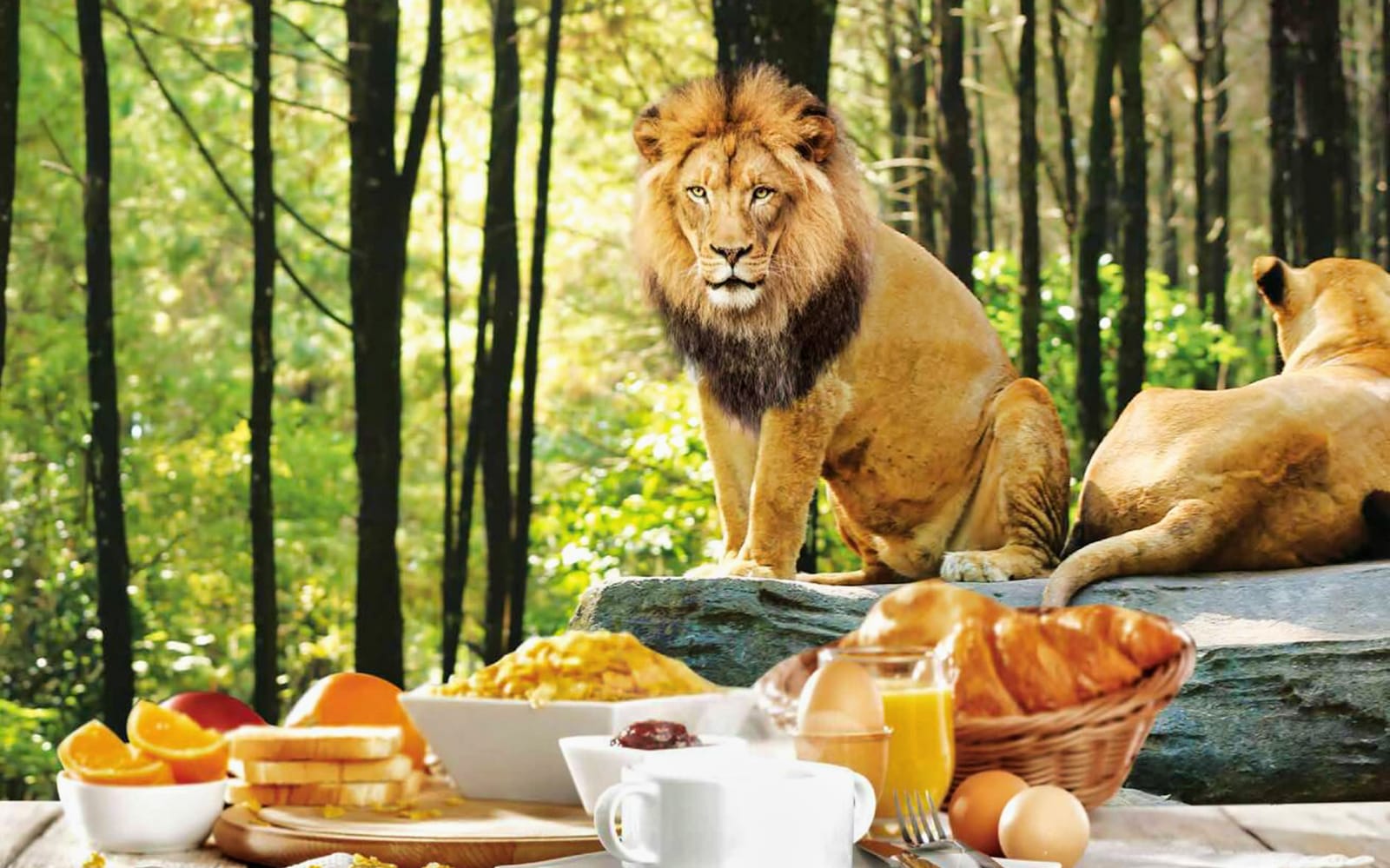 5bdb07ae-0b44-47e5-8d4e-bd324ea6d35d-12256-bali-breakfast-with-lions--bali-safari-and-marine-park--04.jpg