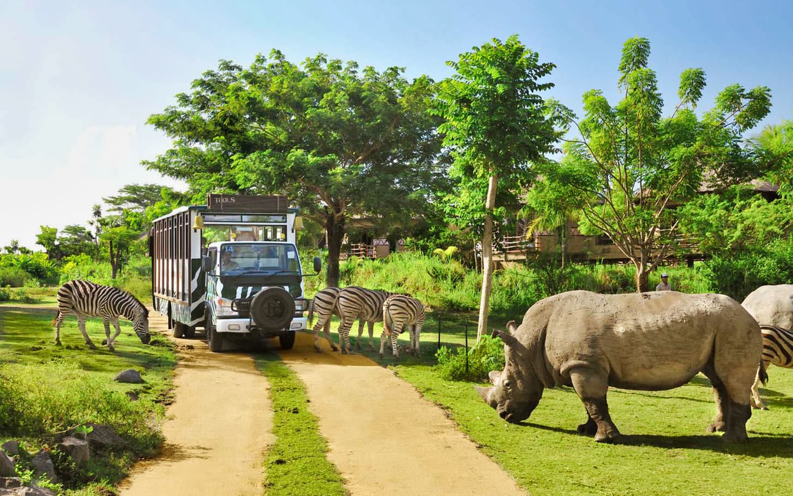 Tickets to Bali Safari Explorer experience in Bali | TickYourList