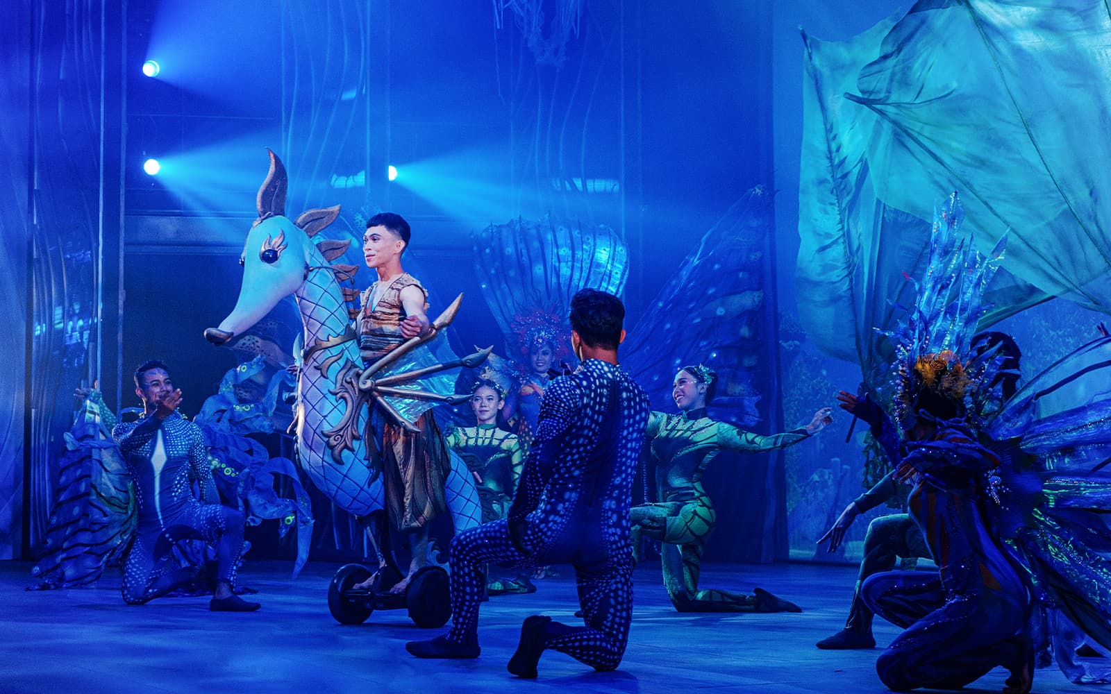 Varuna Underwater Show Tickets in Bali - Attractions | TickYourList
