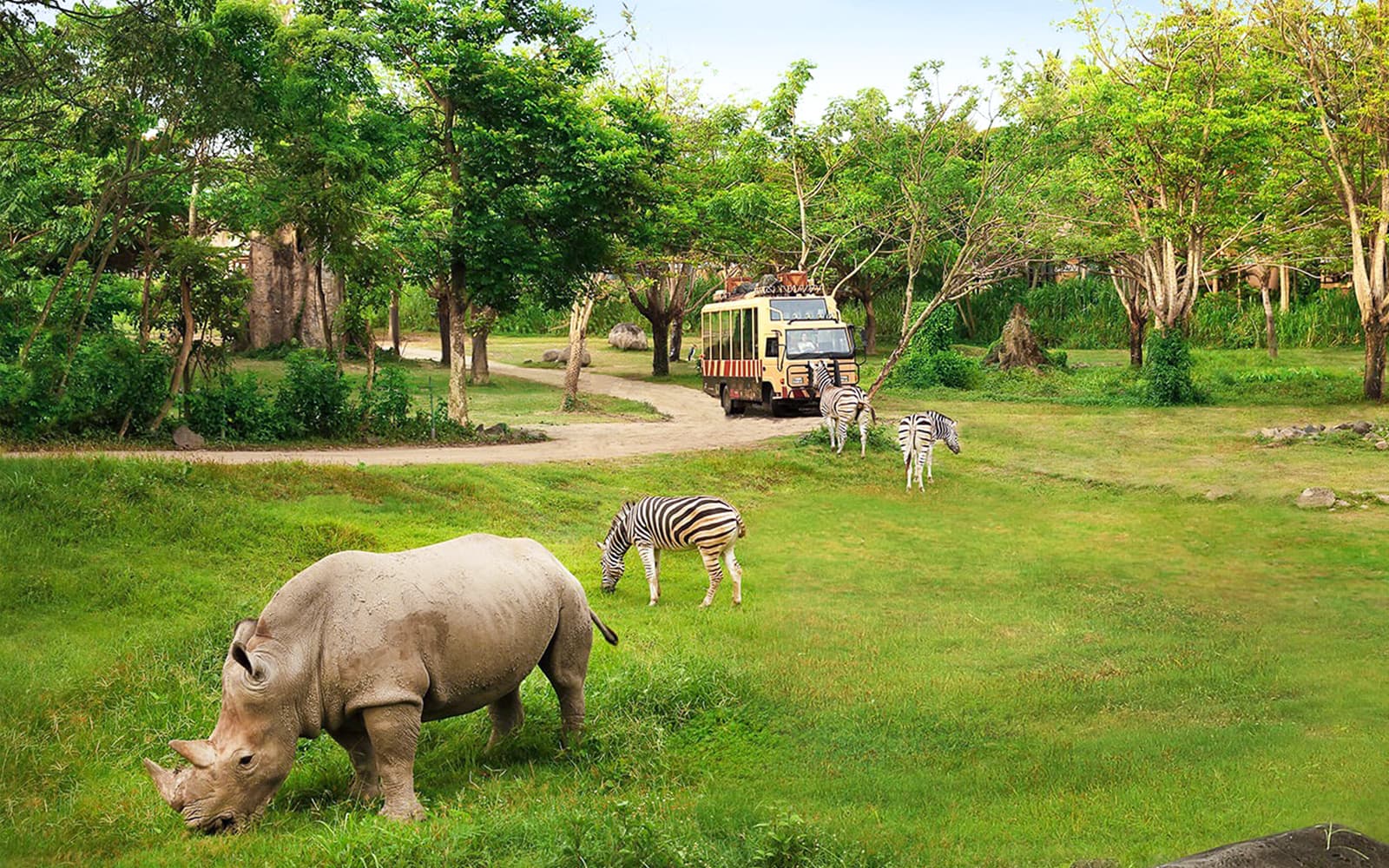 Jungle Hopper Safari Tickets