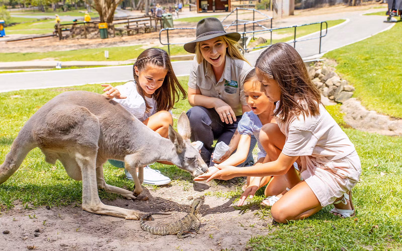 Currumbin Wildlife Sanctuary Tickets in Gold Coast - Attractions | TickYourList