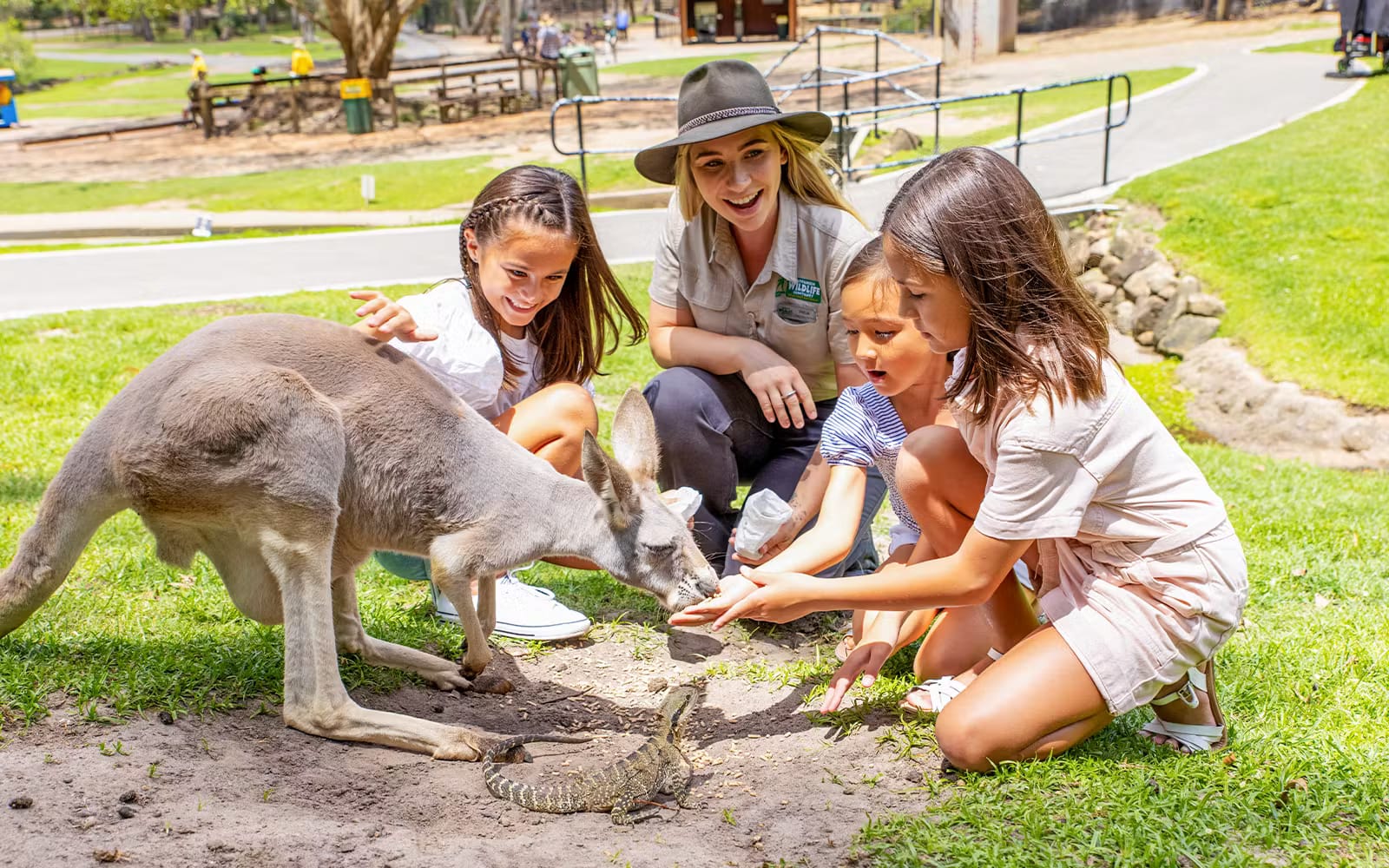 Currumbin Wildlife Sanctuary Tickets in Gold Coast - Attractions | TickYourList
