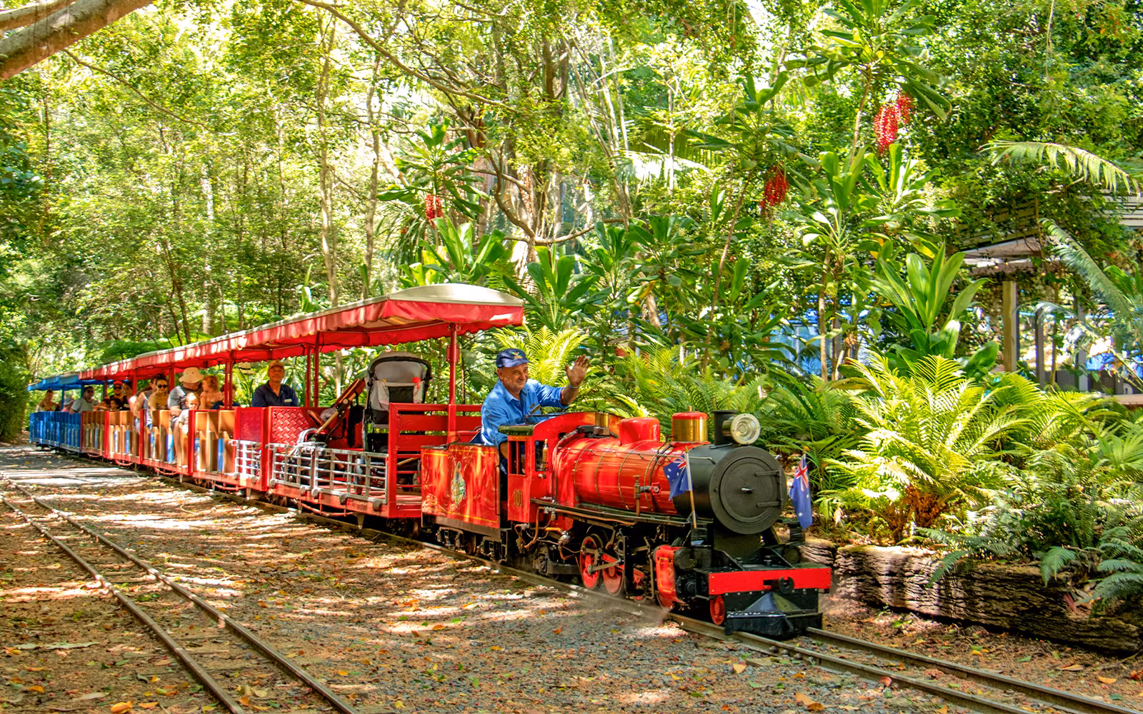 Currumbin Wildlife Sanctuary Tickets in Gold Coast - Highlights | TickYourList