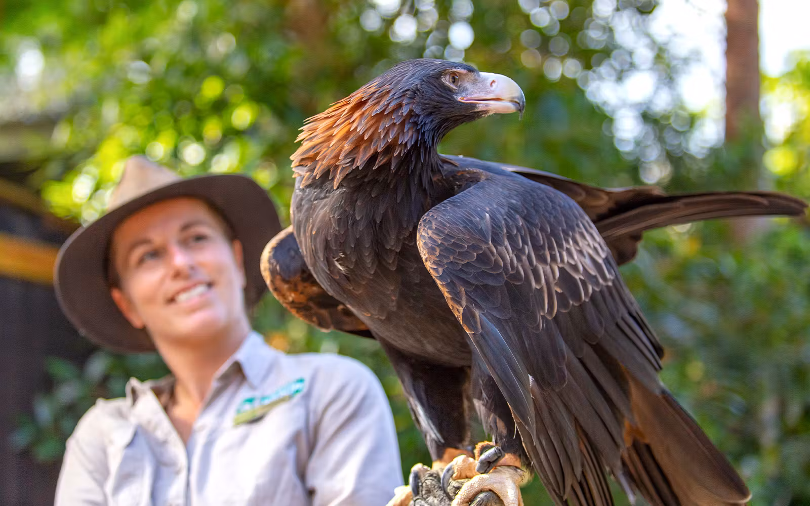 Currumbin Wildlife Sanctuary Tickets in Gold Coast - Features | TickYourList