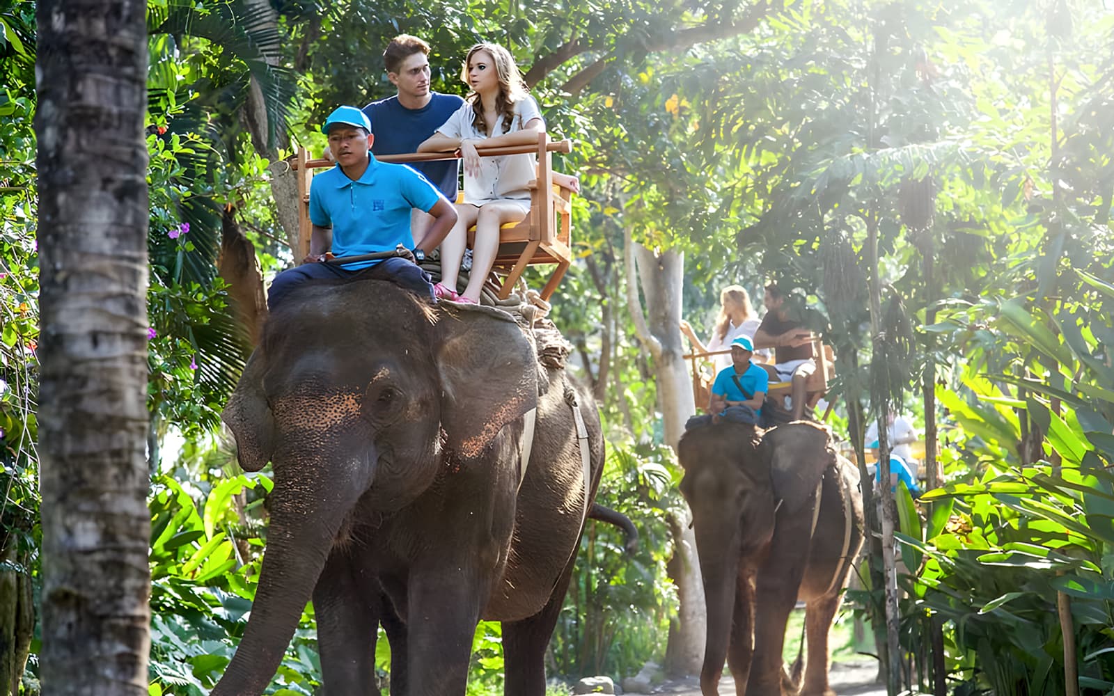 Combo: Bali Zoo Tickets + Breakfast with Orangutans & Elephant Expedition