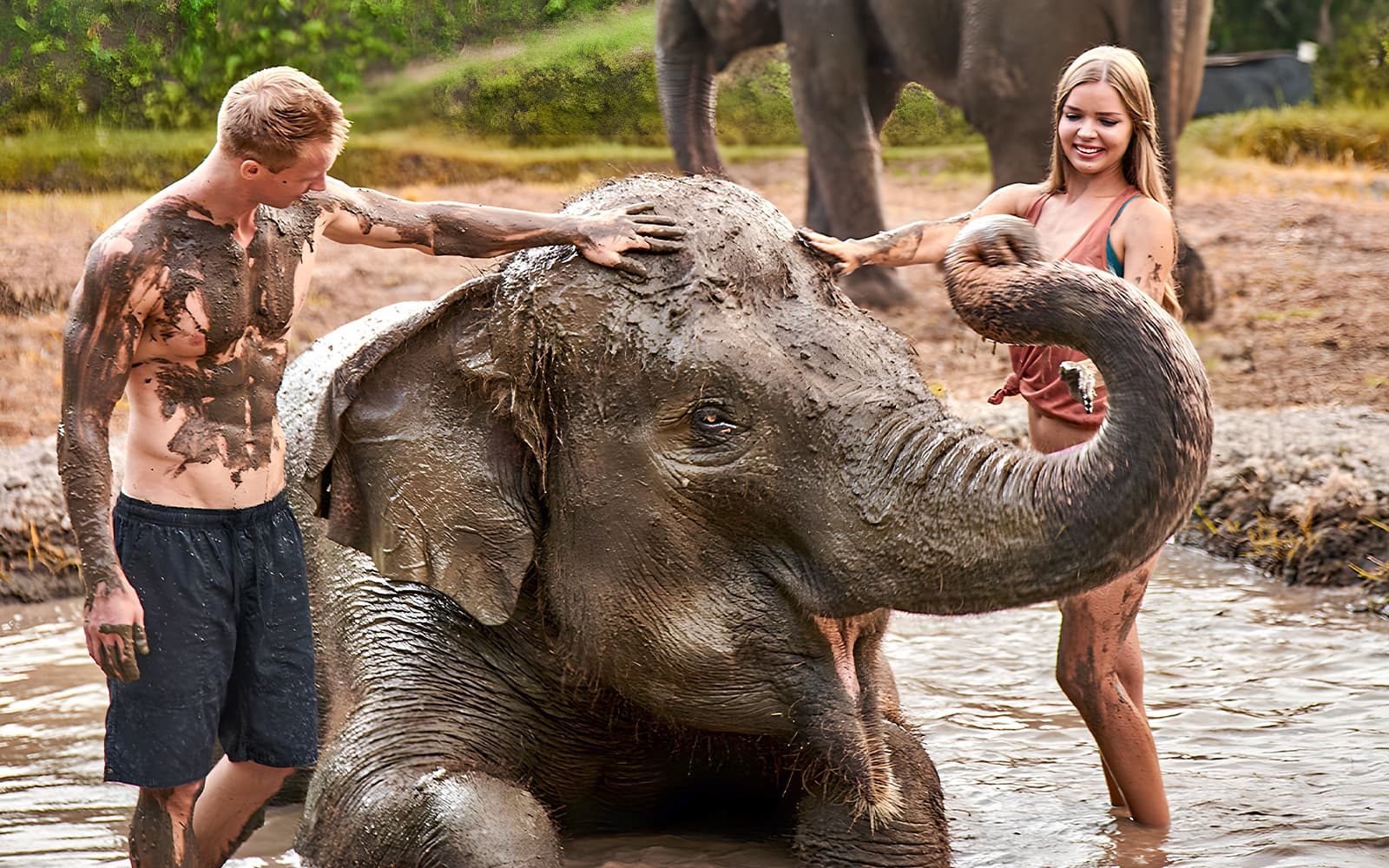 Bali Zoo Tickets with Elephant Feeding & Mud Bath