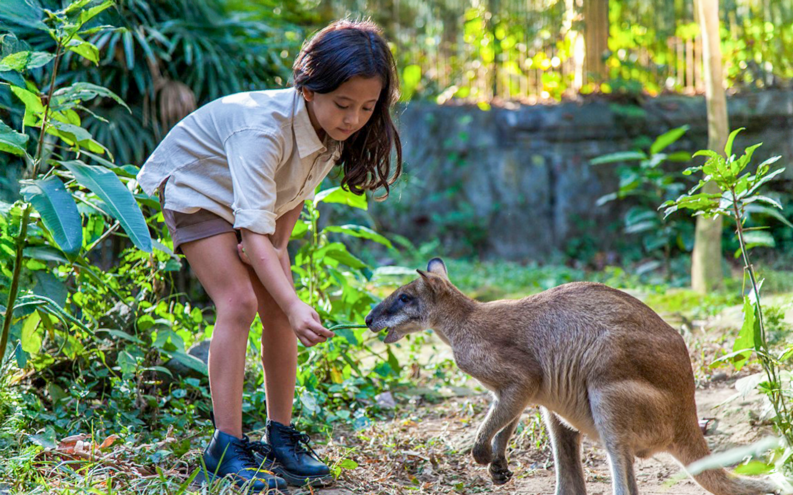 Bali Zoo Entry Tickets in Bali - Attractions | TickYourList