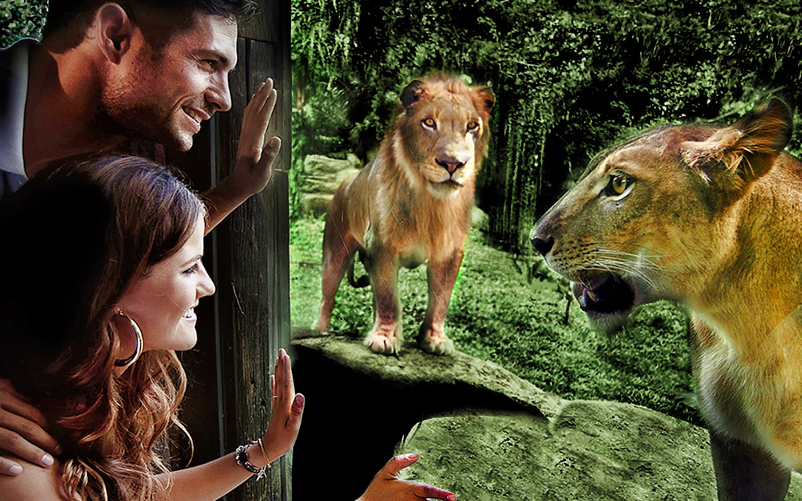 Bali Zoo: Night at the Zoo Experience