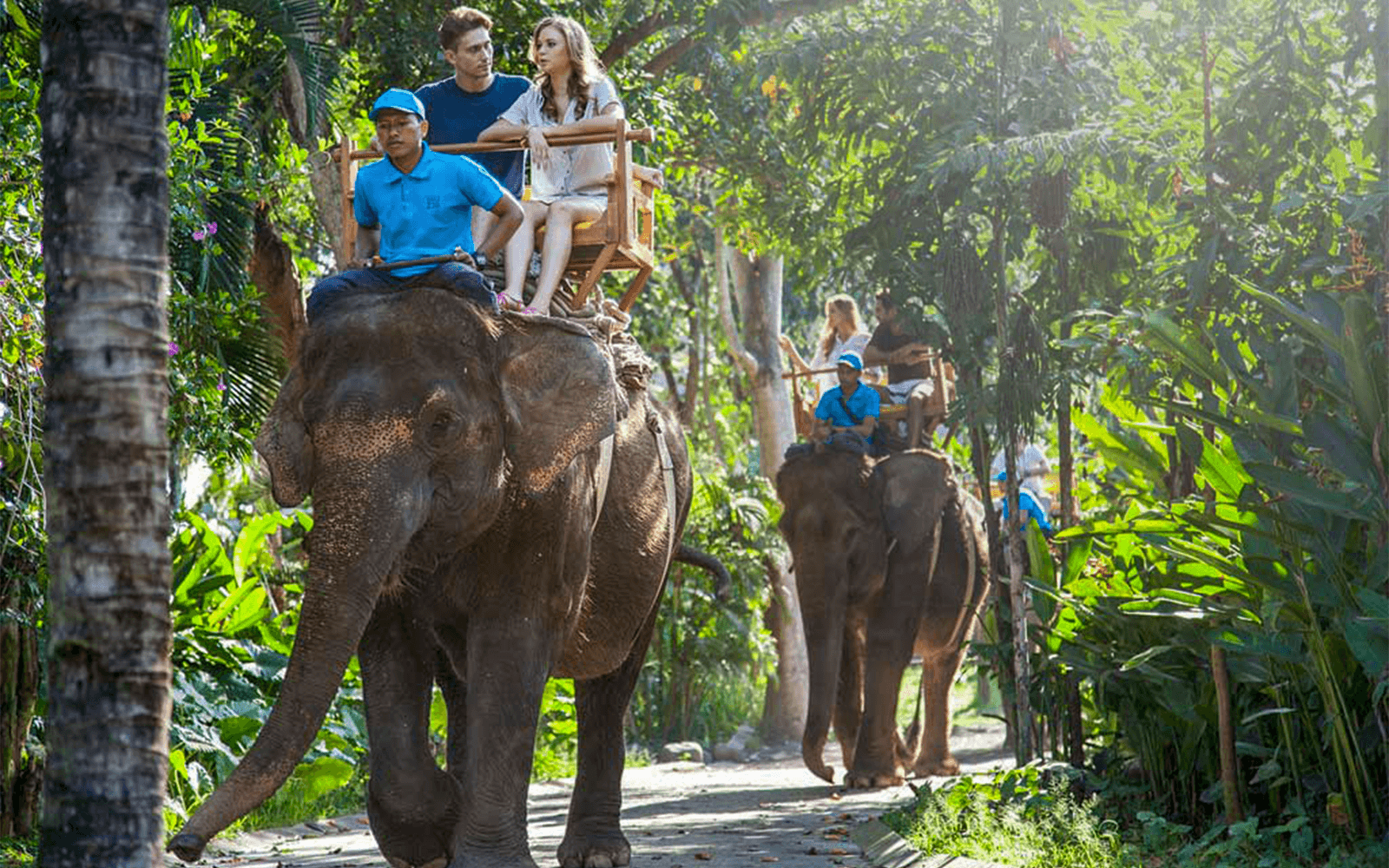 Bali Zoo Tickets with Elephant Ride