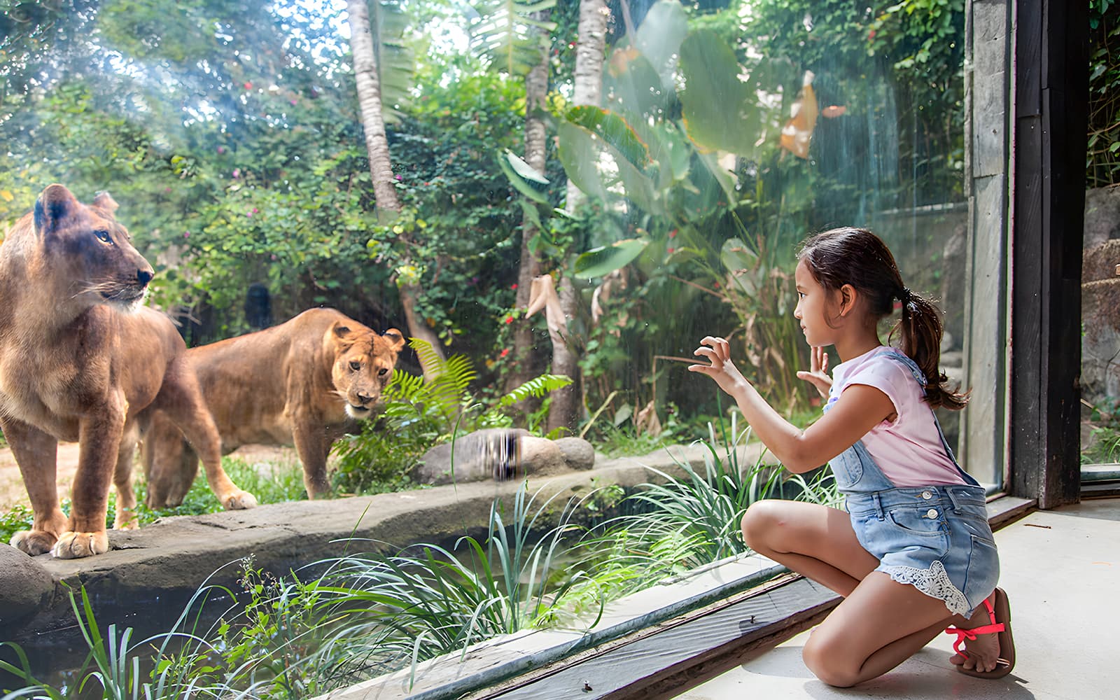 Bali Zoo Tickets with Elephant Ride in Bali - Attractions | TickYourList