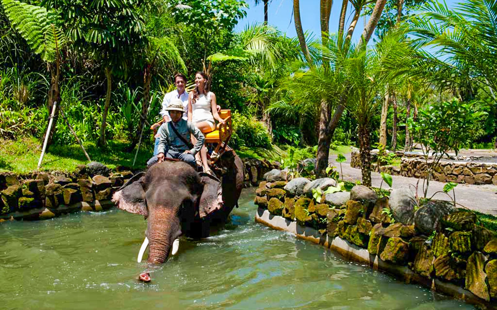 Bali Zoo Tickets with Elephant Ride in Bali - Highlights | TickYourList