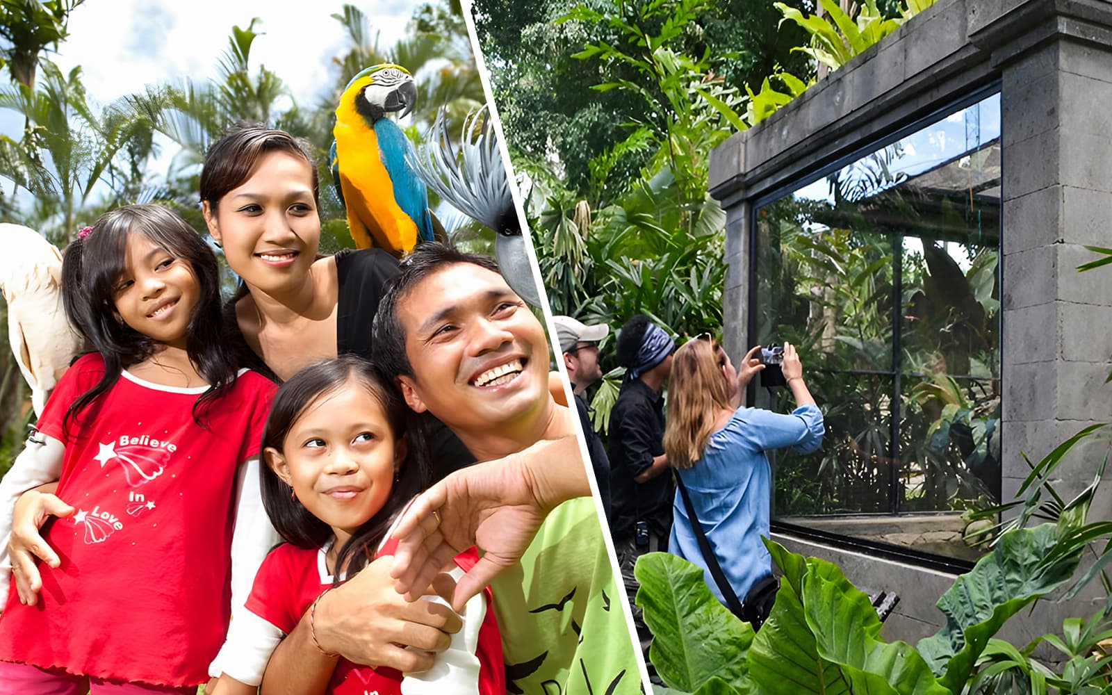 Combo (Save 20%): Bali Bird Park & Bali Reptile Park Tickets