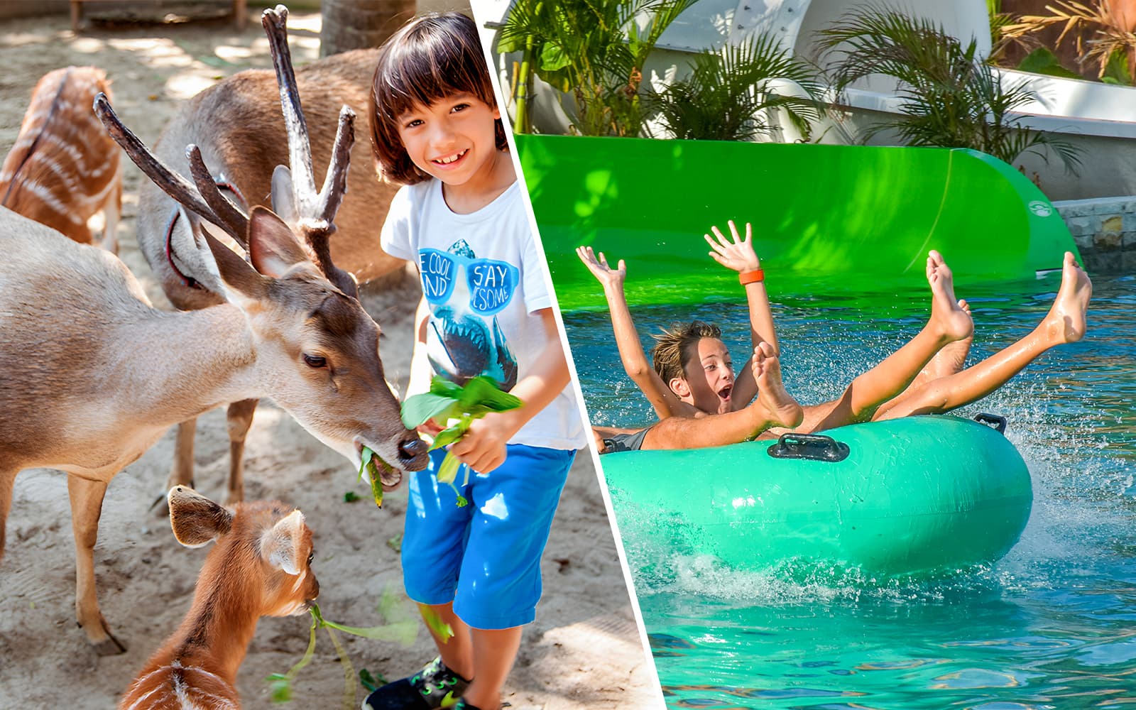 Combo (Save 15%): Bali Zoo + Waterbom Bali Tickets