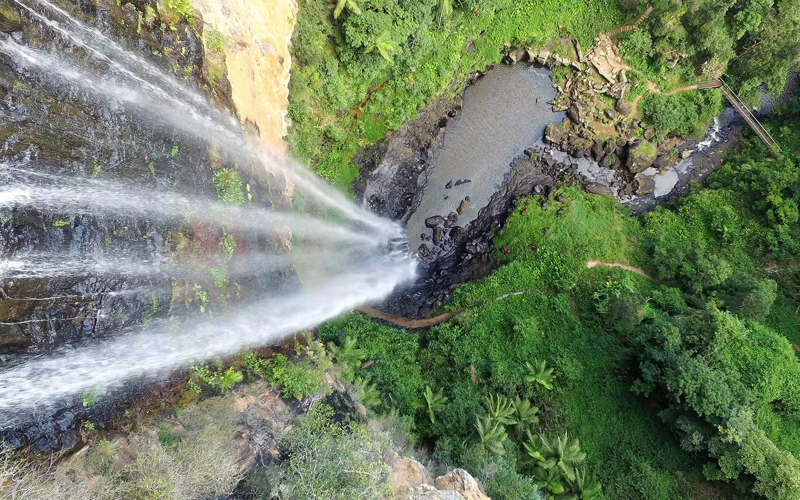 aff02010-48be-4748-8401-fb434e211187-15442-brisbane-natural-bridge---springbrook-waterfalls-tour-01-6-.avif