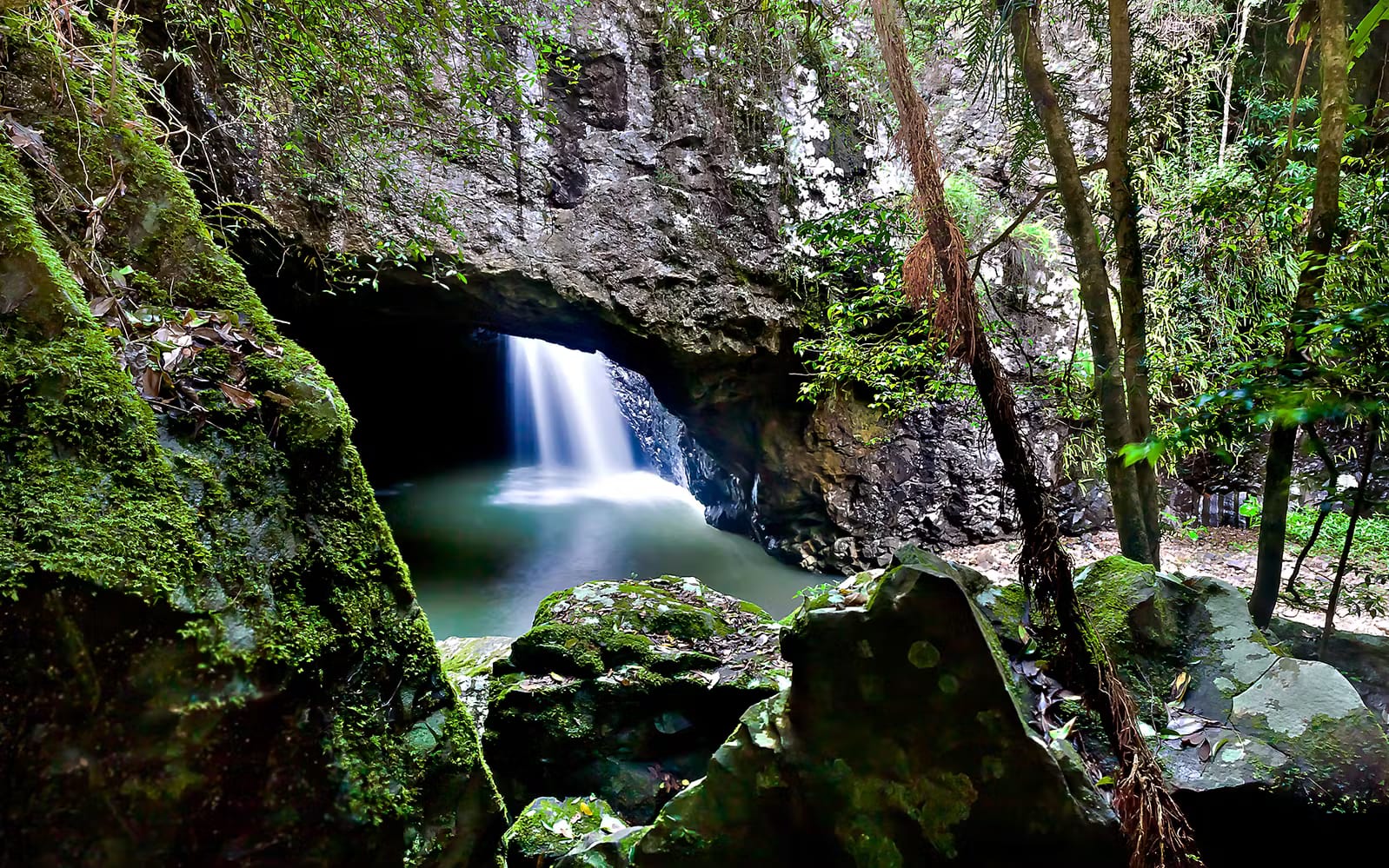 eeed7abe-5d7e-4cb0-8e0b-02ab3f926590-15442-brisbane-natural-bridge---springbrook-waterfalls-tour-01-4-.avif