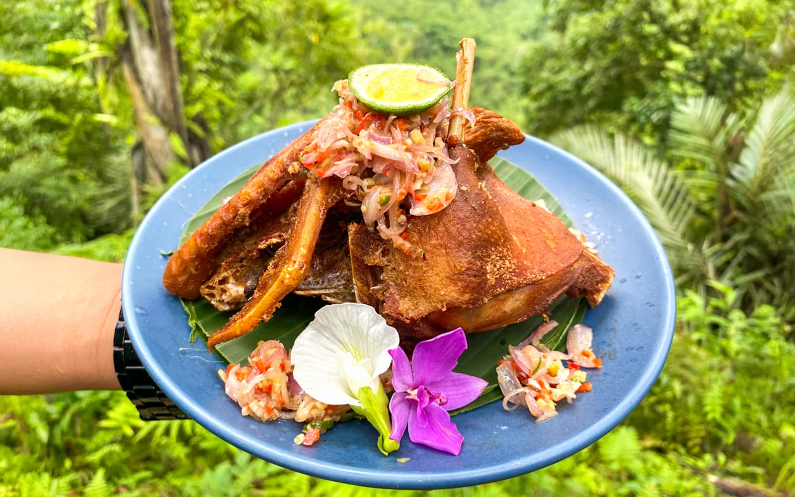 Ubud: Bali Farm Cooking Class with Market Tour tickets in Bali - Highlights | TickYourList