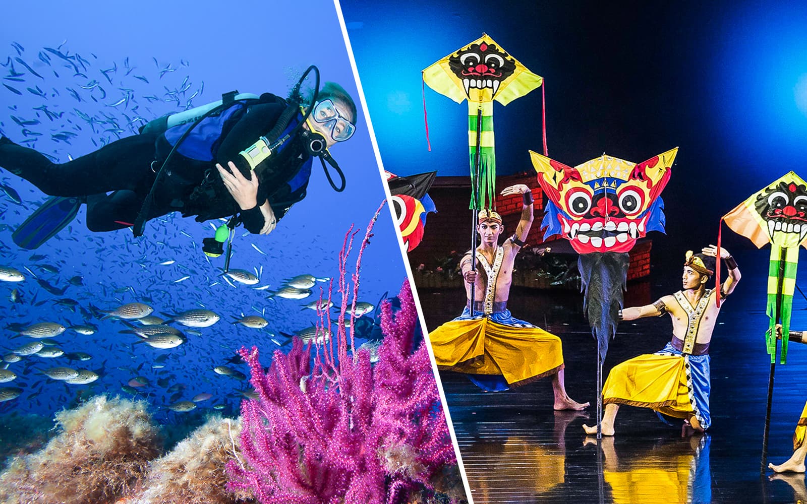 Combo (Save 25%): Tanjung Benoa Scuba Diving + Devdan Show Tickets