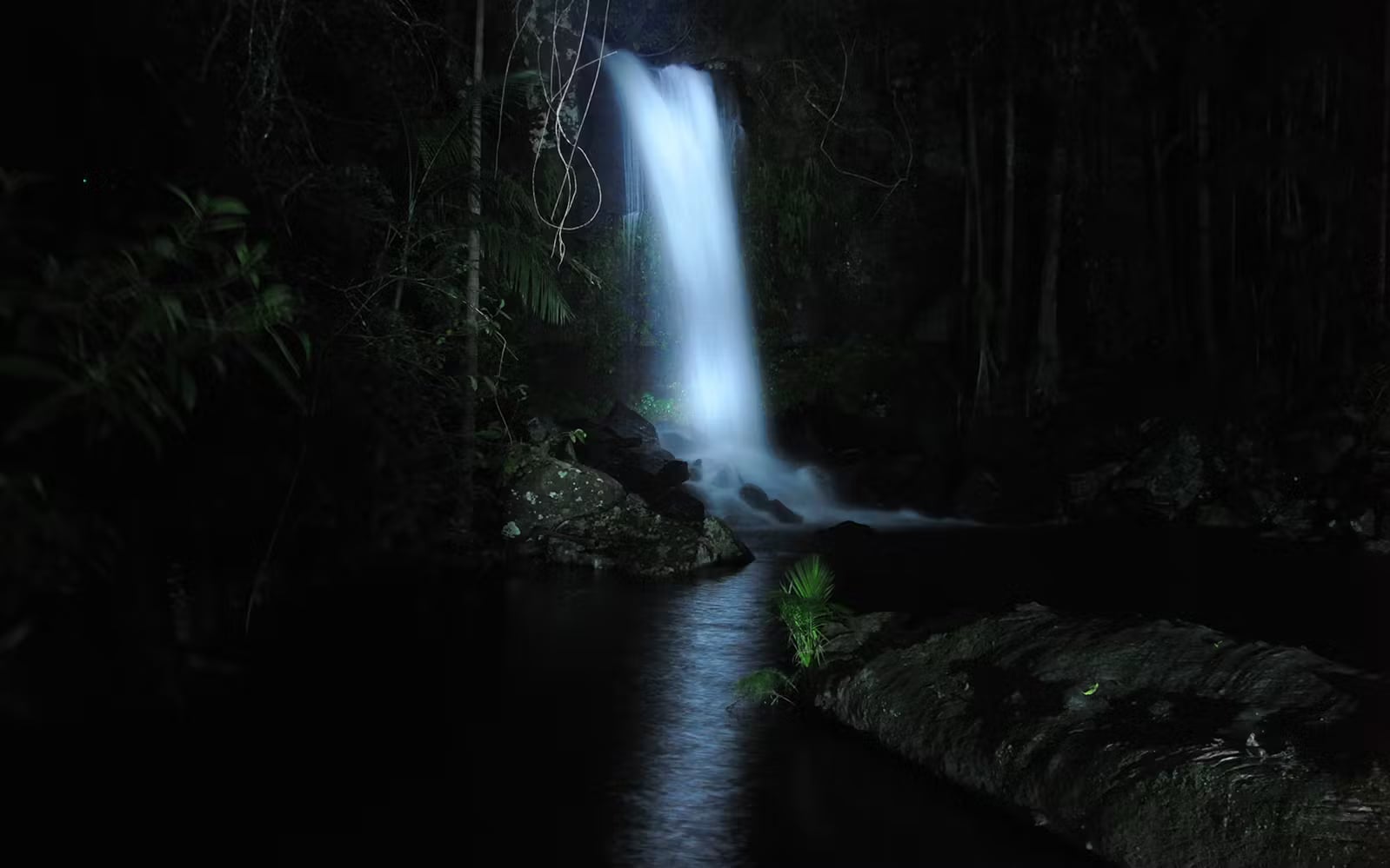 listing card gallery - Image 1 of 5