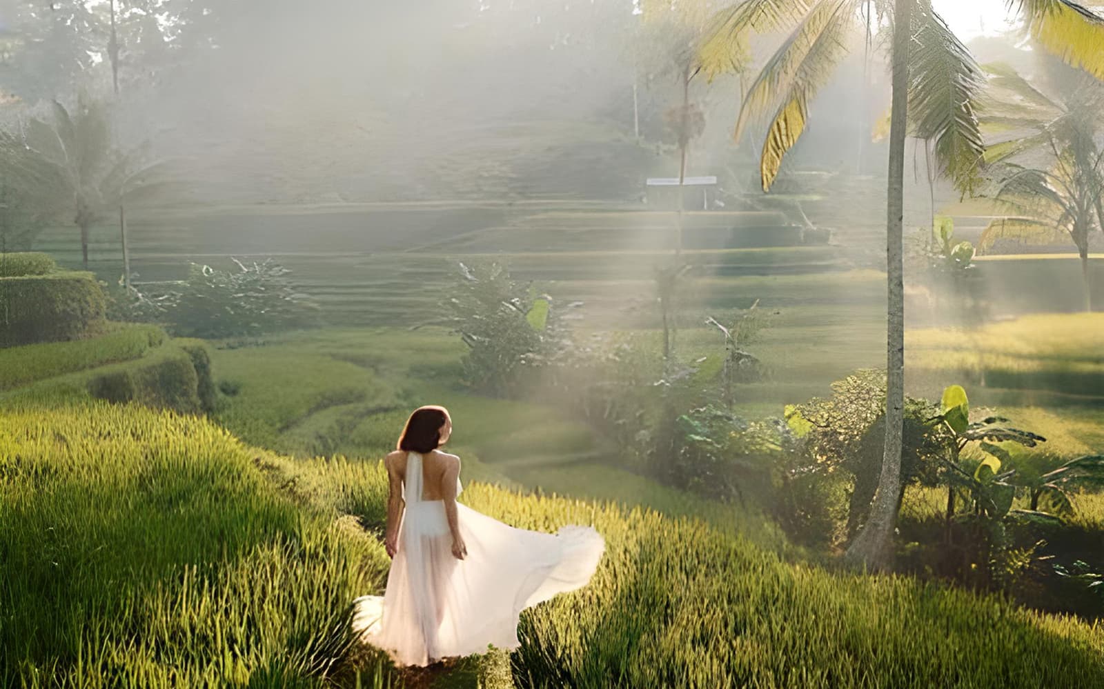 Best Ubud Tour: Monkey forest, Rice Terrace & Waterfall