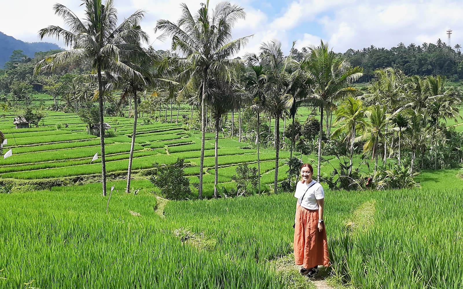 Private Bali Ubud Tour: Tirta Empul, Rice Terrace & Swing tickets in Bali - Activities | TickYourList
