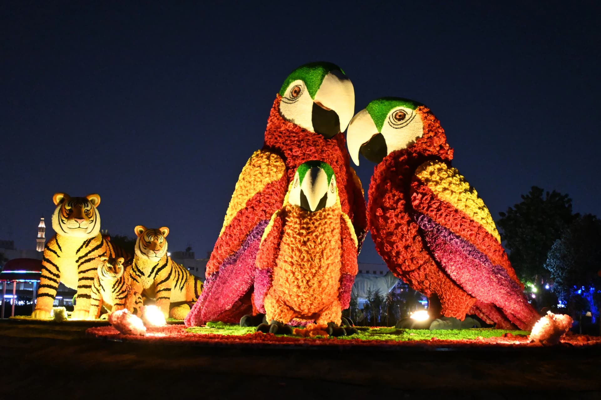 Dubai Garden Glow Tickets