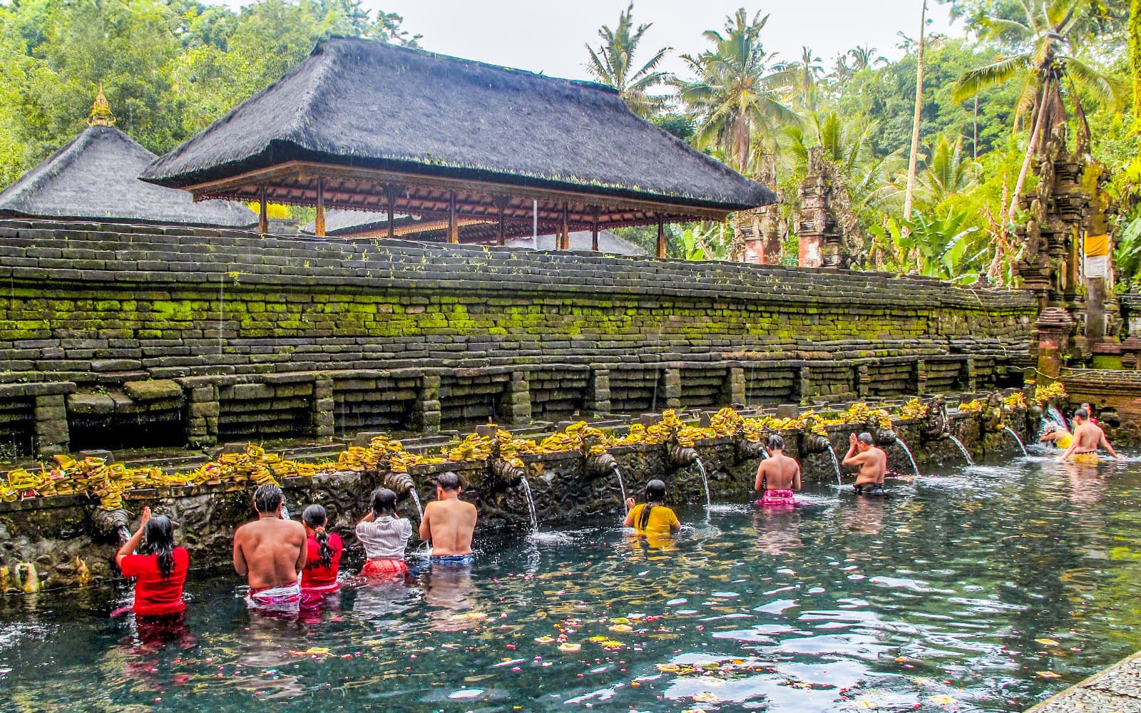 Private Tour of Ubud tickets in Bali - Features | TickYourList