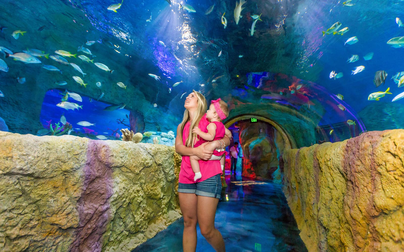 Madame Tussauds & SEA LIFE Orlando: Combo Ticket