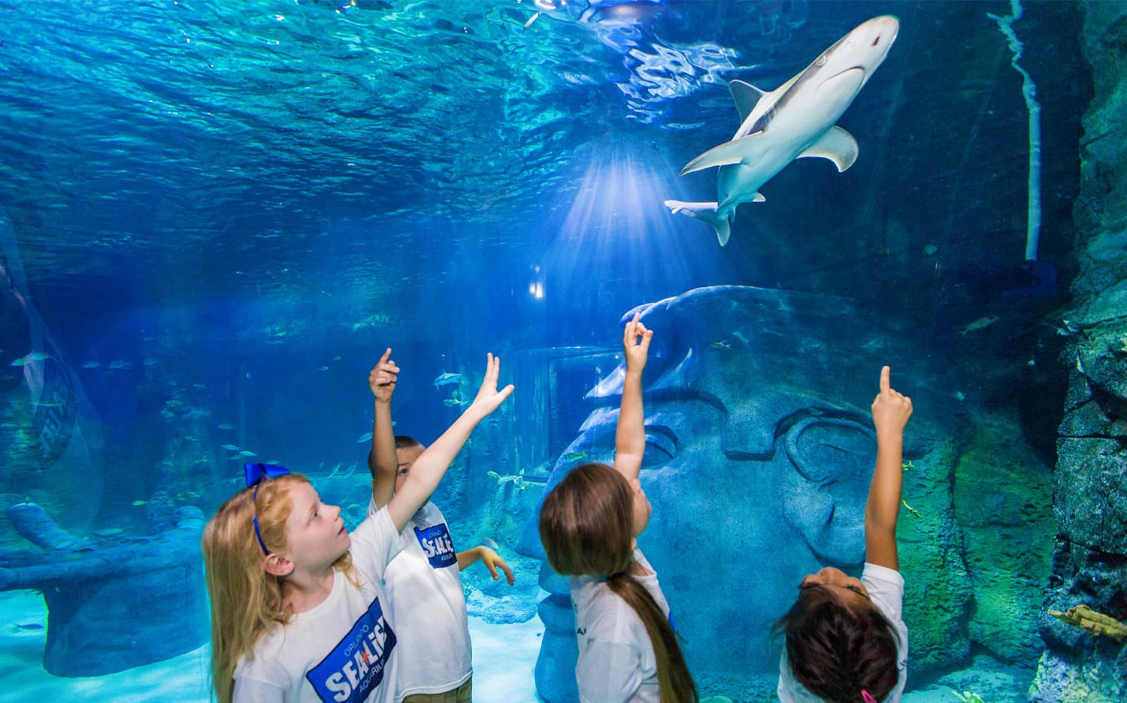 Madame Tussauds & SEA LIFE Orlando: Combo Ticket in Orlando - Attractions | TickYourList