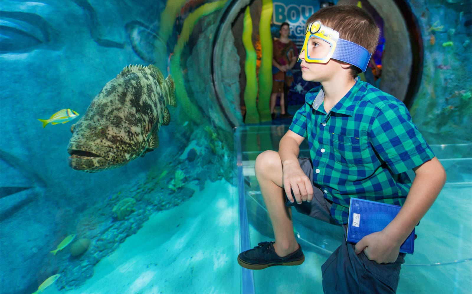 Madame Tussauds & SEA LIFE Orlando: Combo Ticket in Orlando - Features | TickYourList