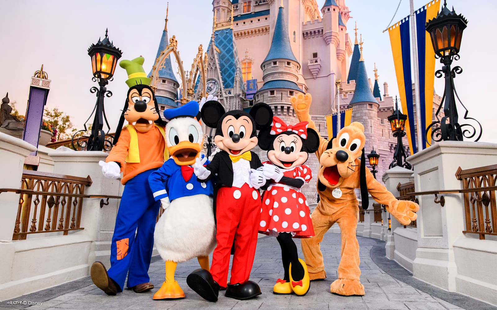 Magic Kingdom 1-Day Ticket