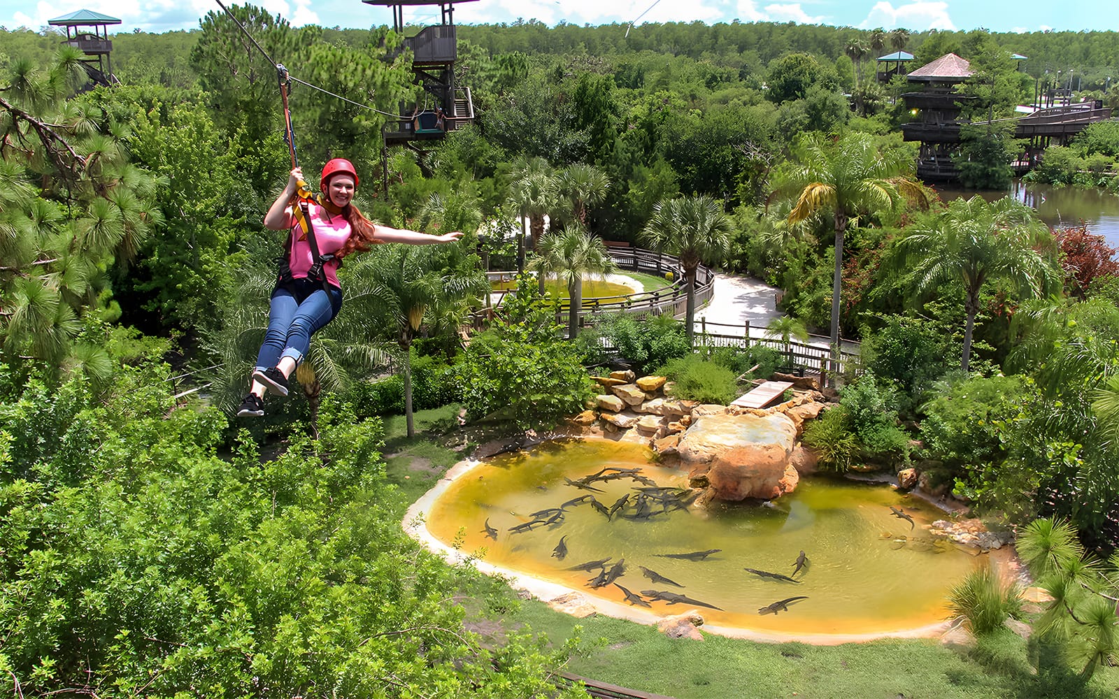 Gatorland Tickets with Screamin’ Gator Zip Line Access experience in Orlando | TickYourList