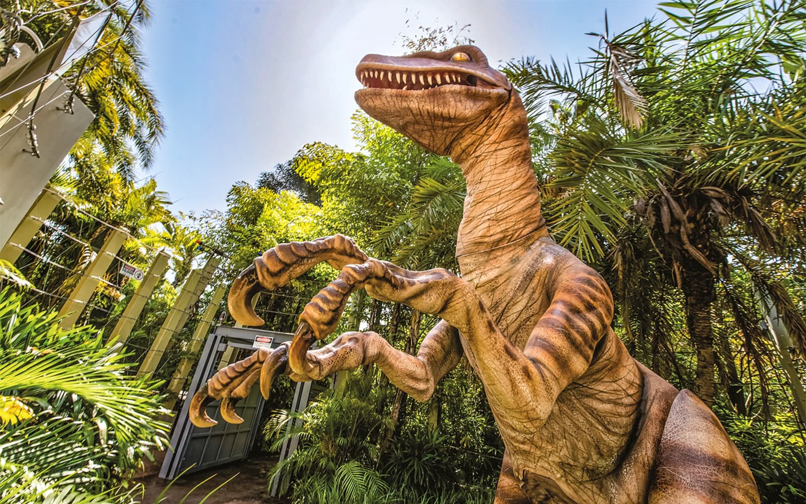 Universal Studios Orlando 1-Day Tickets + Express Pass (One Time per Ride) in Orlando - Features | TickYourList
