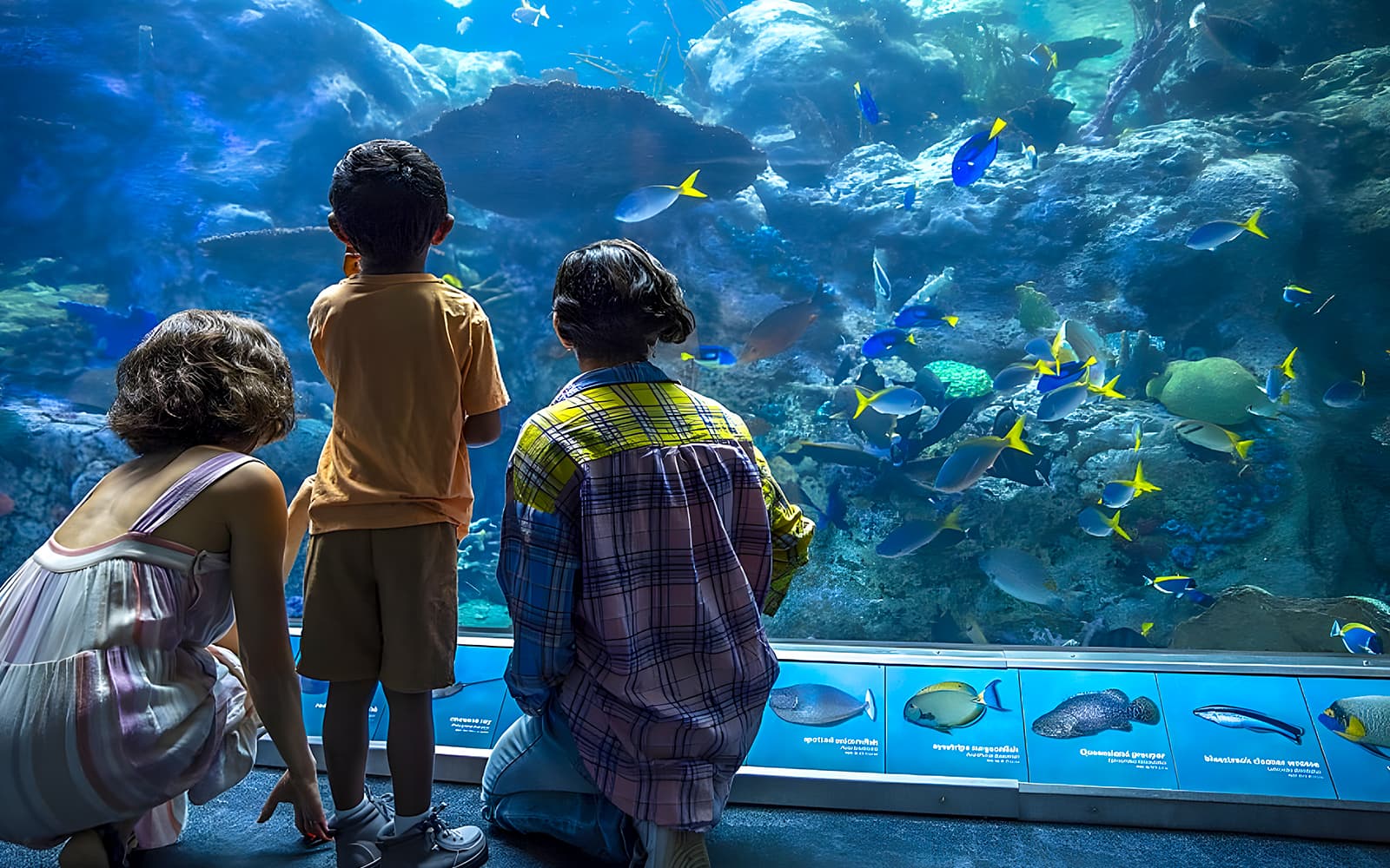 Aquarium of the Pacific Skip-the-Line Tickets