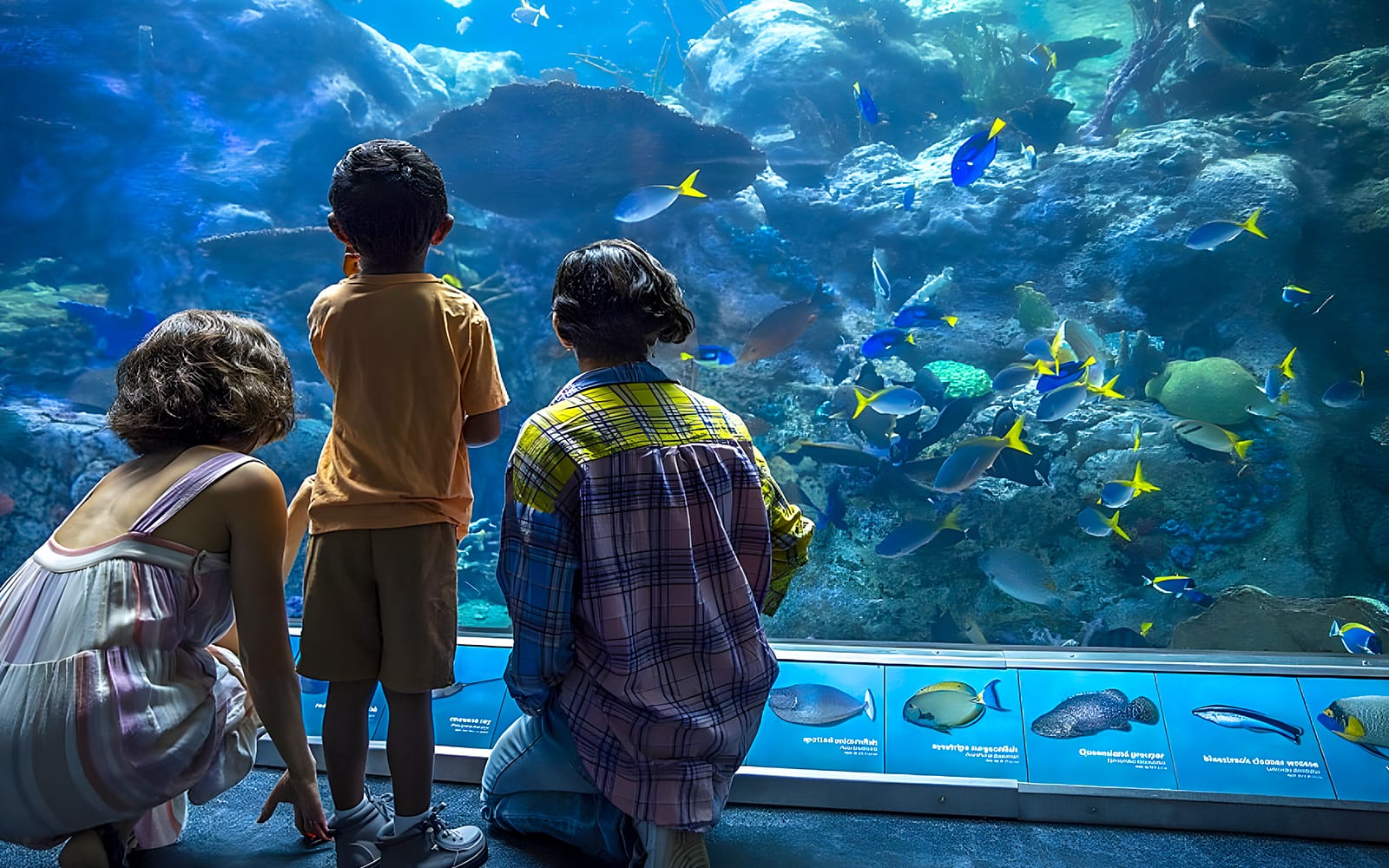 Aquarium of the Pacific Skip-the-Line Tickets experience in Los Angeles | TickYourList