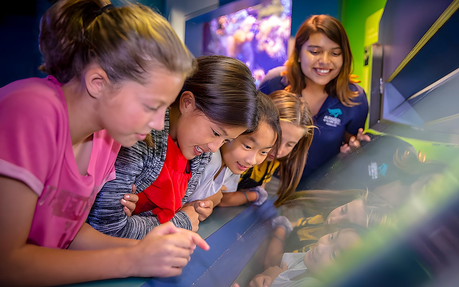 Aquarium of the Pacific Skip-the-Line Tickets in Los Angeles - Activities | TickYourList
