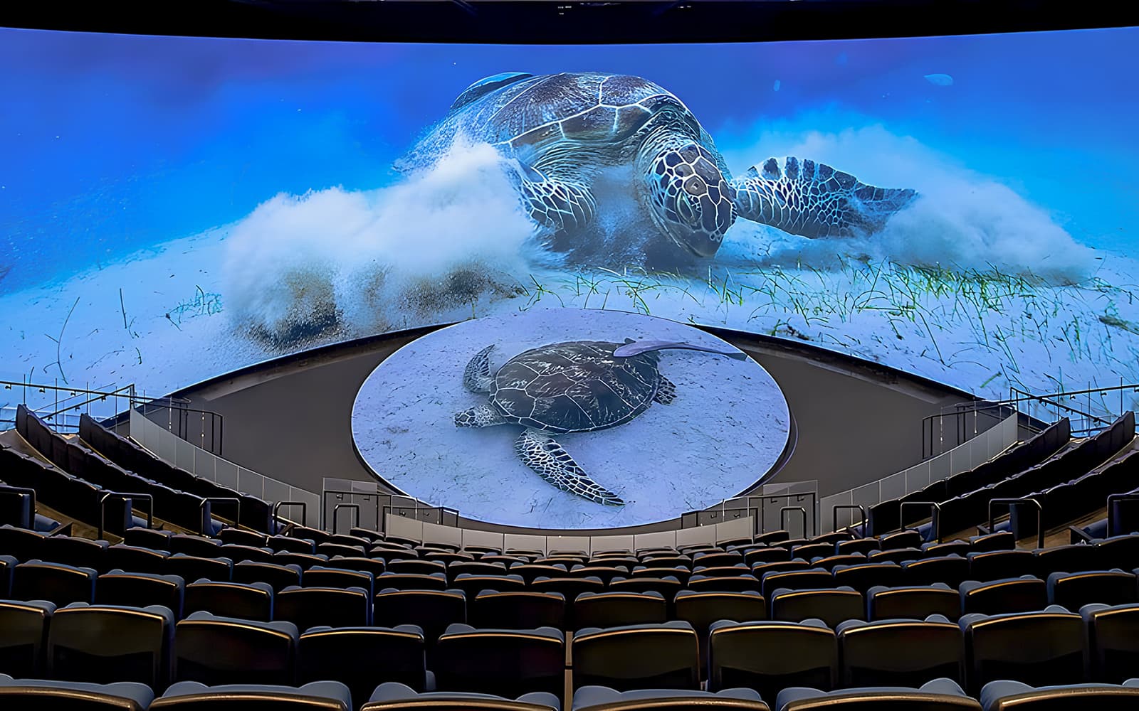 Aquarium of the Pacific Skip-the-Line Tickets in Los Angeles - Features | TickYourList