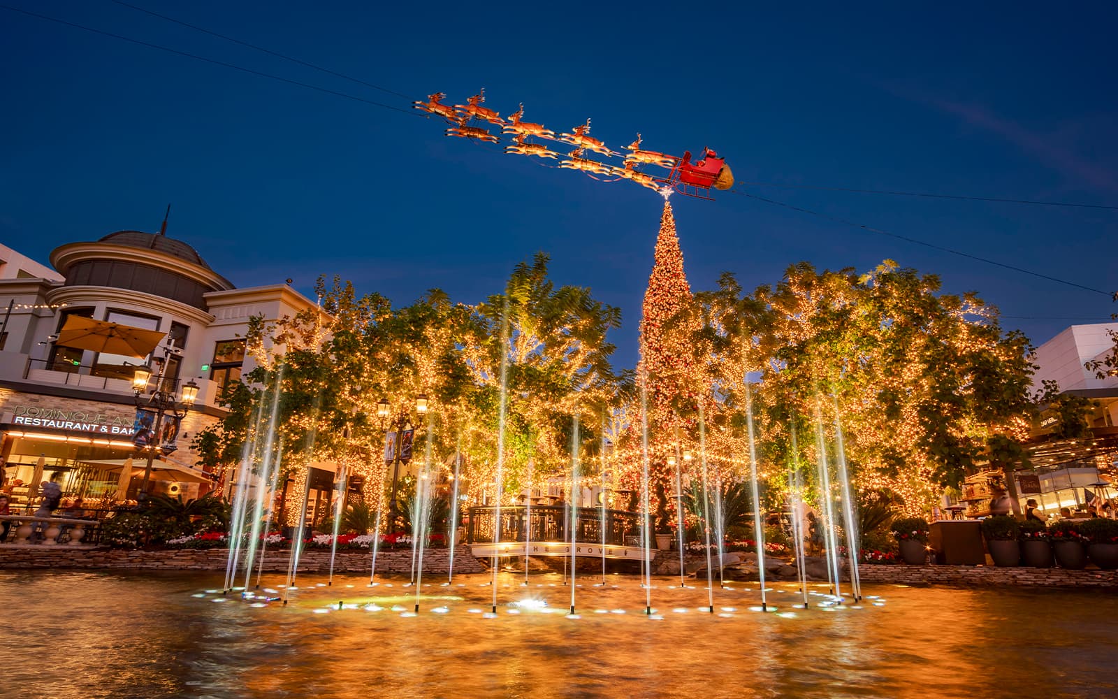 Big Bus: Los Angeles Holiday Lights Tour tickets in Los Angeles - Attractions | TickYourList