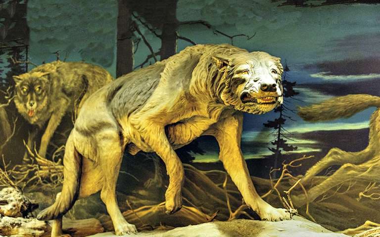 La Brea Tar Pits and Museum tickets in Los Angeles - Book Now | TickYourList