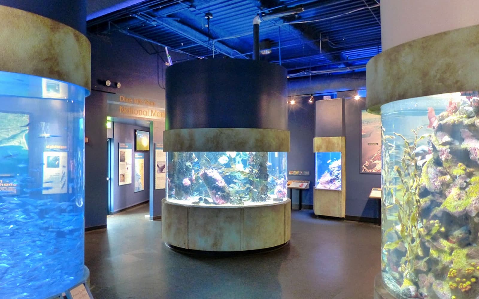 Aquarium of the Bay Tickets in San Francisco - Attractions | TickYourList