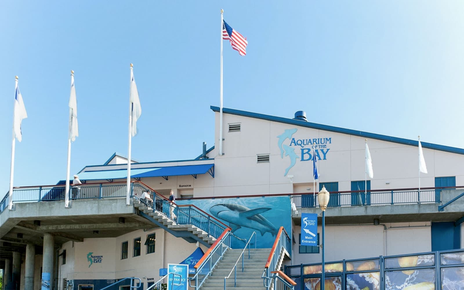 Aquarium of the Bay Tickets in San Francisco - Highlights | TickYourList