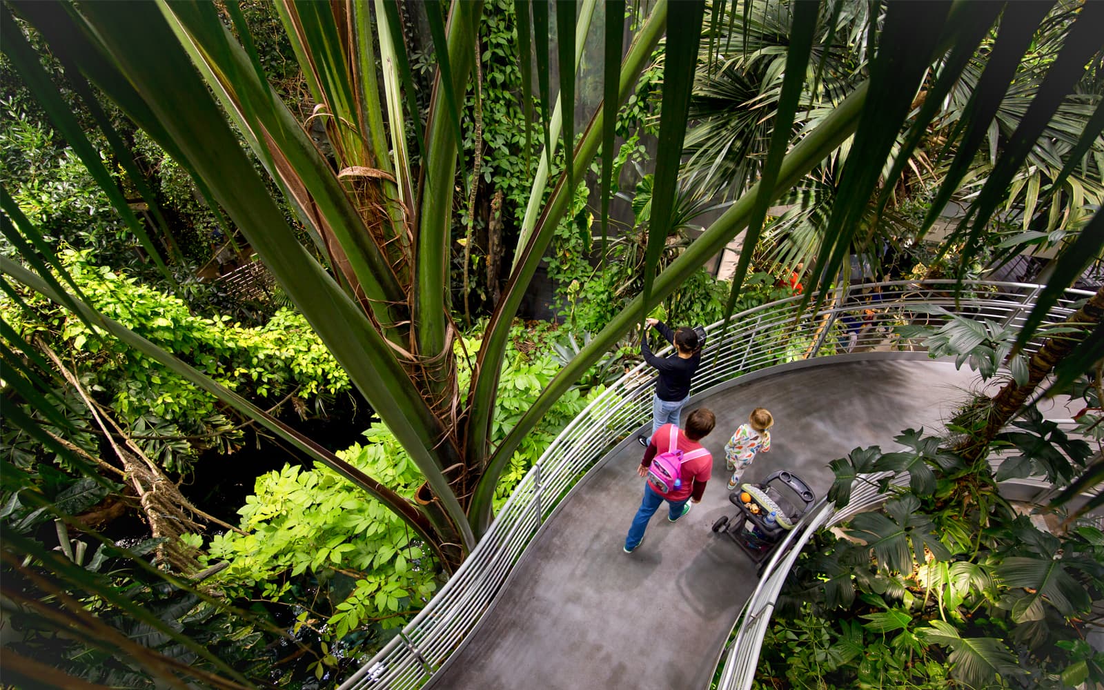 California Academy of Sciences Tickets in San Francisco - Activities | TickYourList