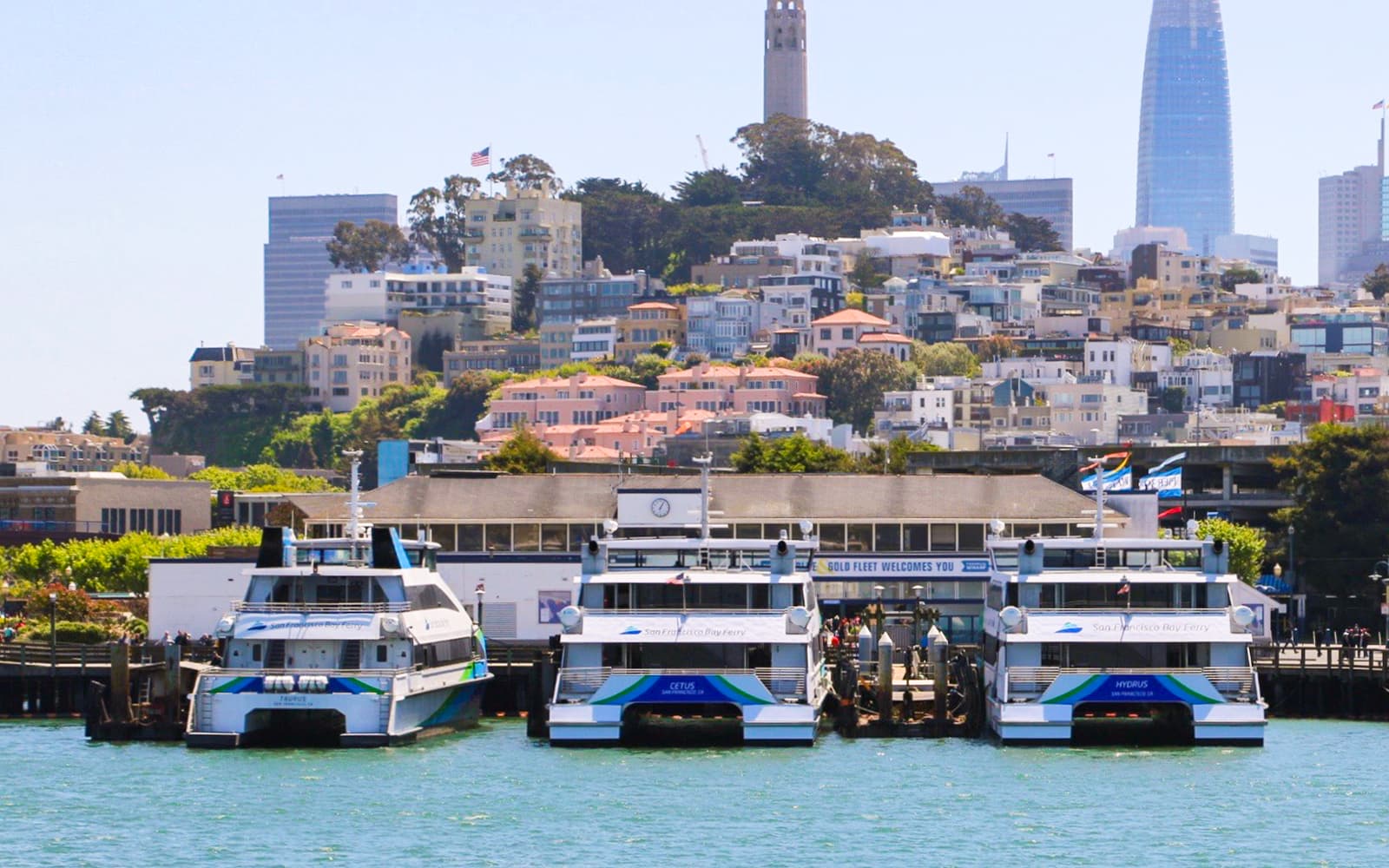 Combo: San Francisco Hop-on Hop-off Bus Tour + Golden Gate Bay & Alcatraz Cruise Tickets in San Francisco - Features | TickYourList