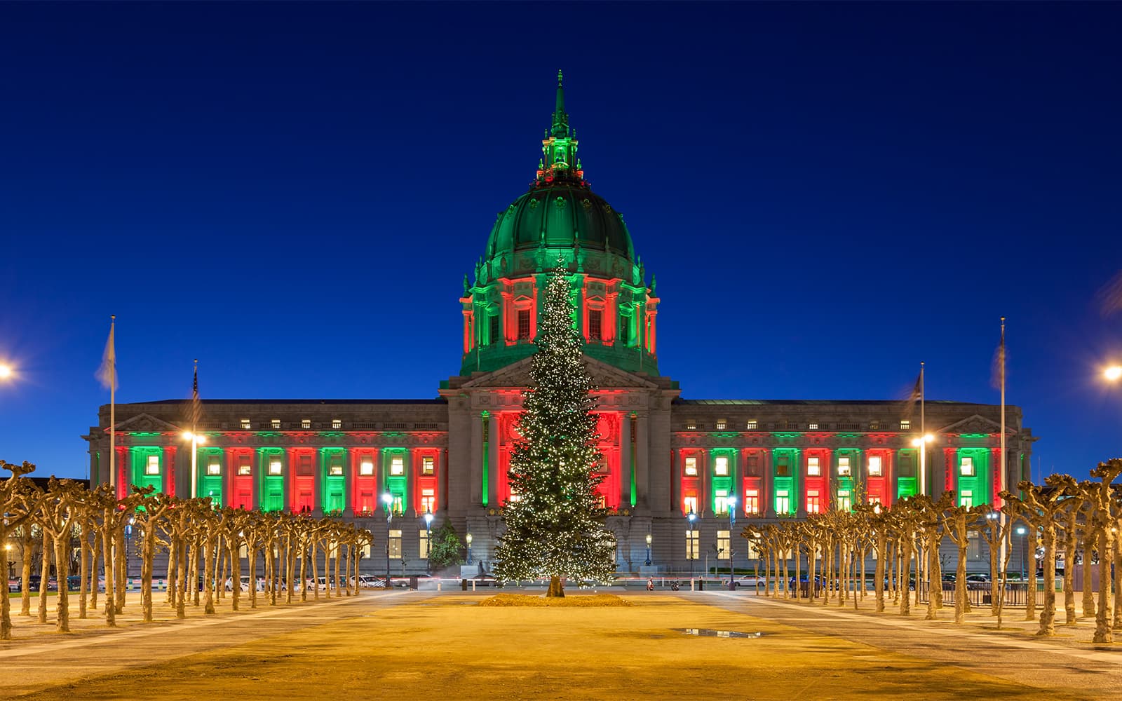 Big Bus: San Francisco Holiday Lights Tour