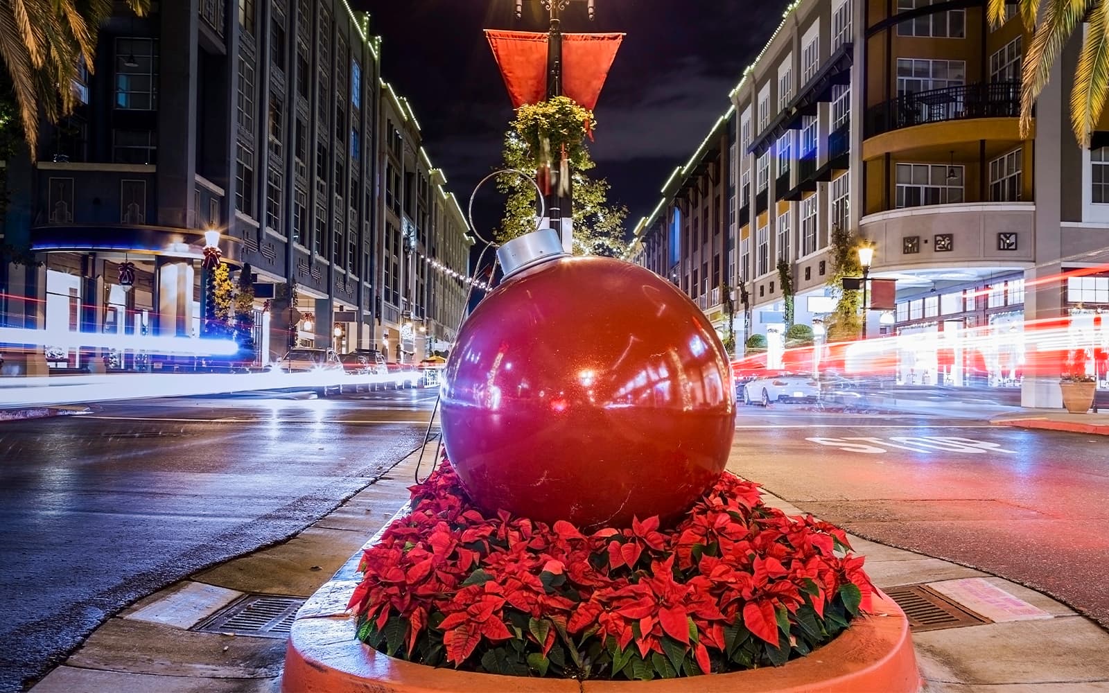 Big Bus: San Francisco Holiday Lights Tour tickets in San Francisco - Activities | TickYourList