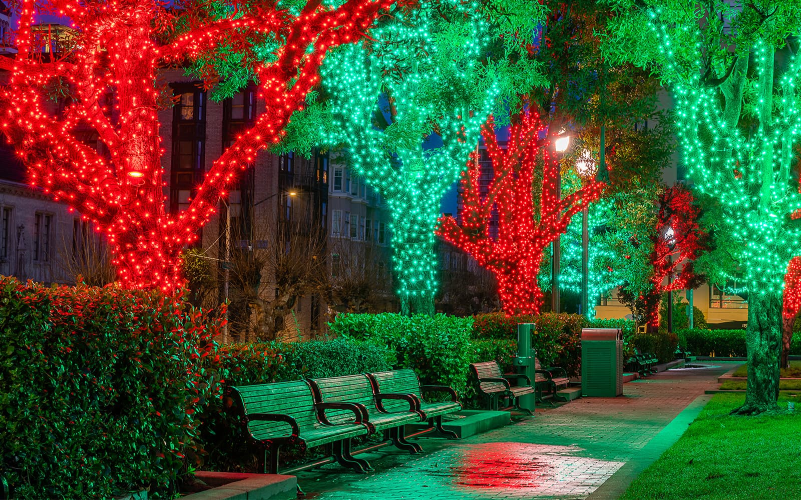 Big Bus: San Francisco Holiday Lights Tour tickets in San Francisco - Features | TickYourList