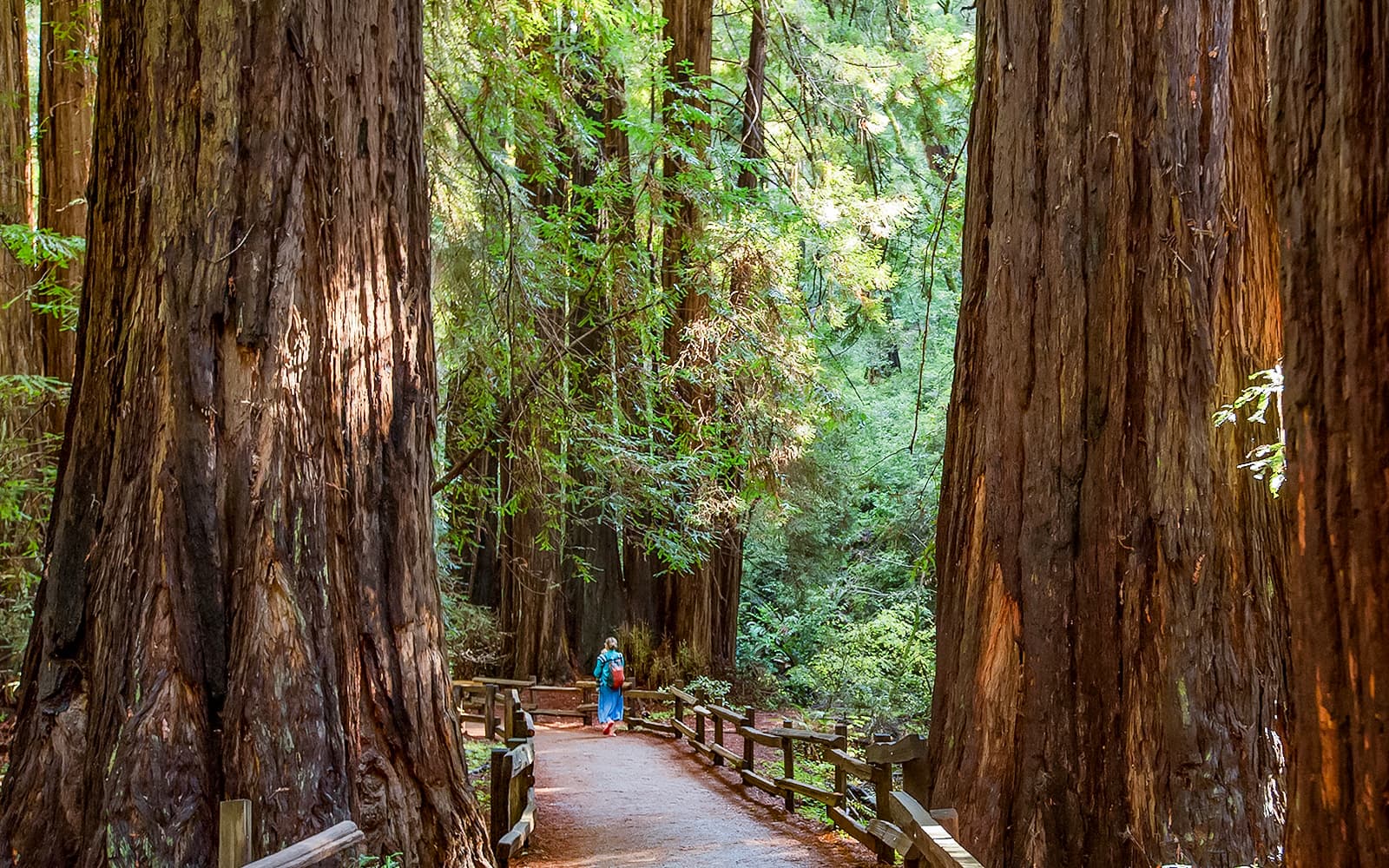Alcatraz Tour with Muir Woods and Sausalito tickets in San Francisco - Activities | TickYourList