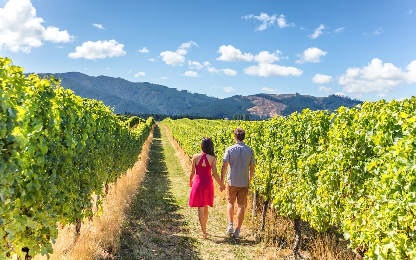 From San Francisco: Alcatraz, Aquarium of the Bay, & Napa/Sonoma Wine Country 2-Day Trip